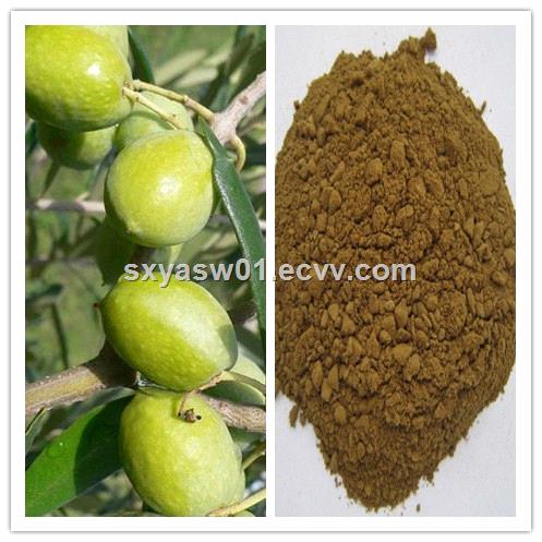 Natural enhance immunity Oleuropein Hydroxytyrosol Olive Leaf Extract