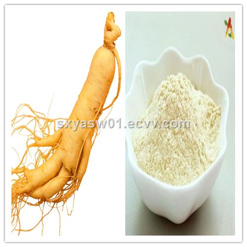 Natural Ginsenoside improve immunity Ginseng Root Extract