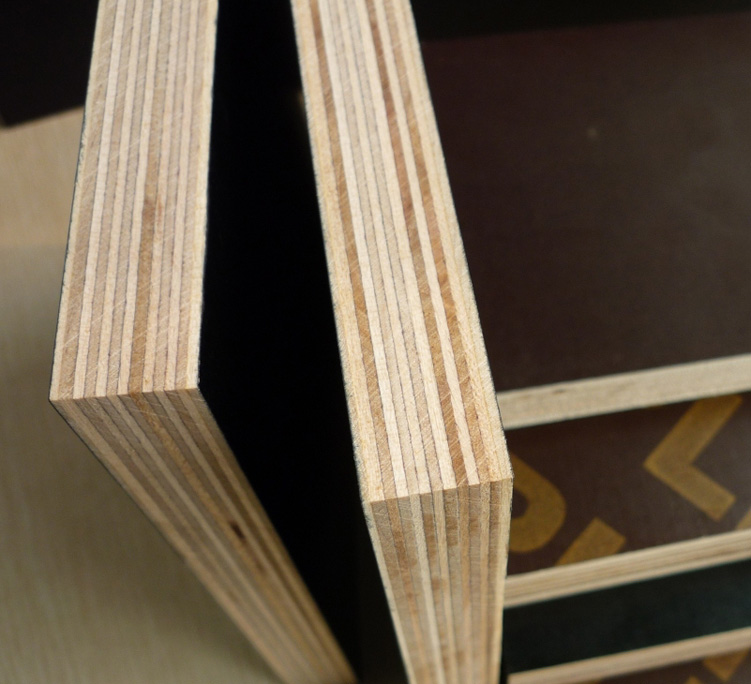 18mm 12202440 brown film faced plywood Linyi Shandong phenolic board