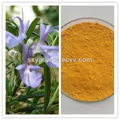 Natural Ursolic Acid Carnosic Acid Rosemary Extract