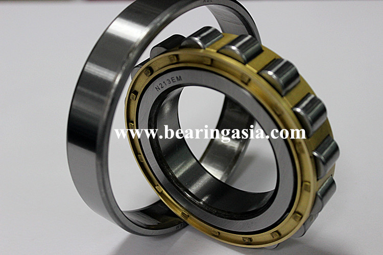 Single Row Cylindrical Roller Bearing NUP2228EM