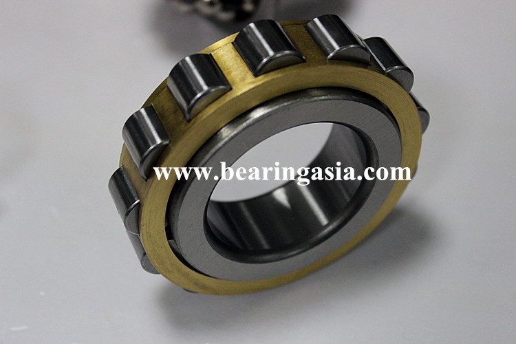 Single Row Cylindrical Roller Bearing NUP2228EM