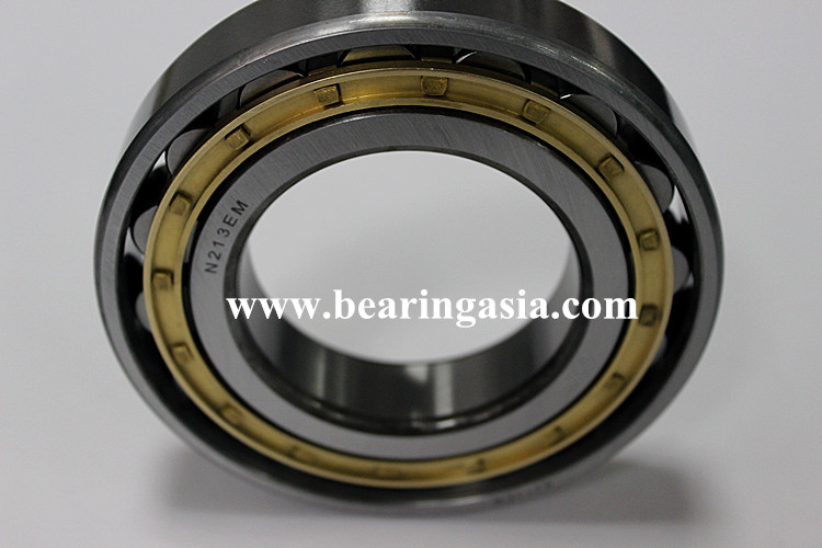 Single Row Cylindrical Roller Bearing NUP2228EM