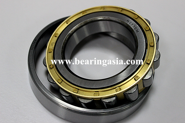 Single Row Cylindrical Roller Bearing NUP2228EM