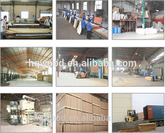 Green blue ply poplar core plastic film faced plywood