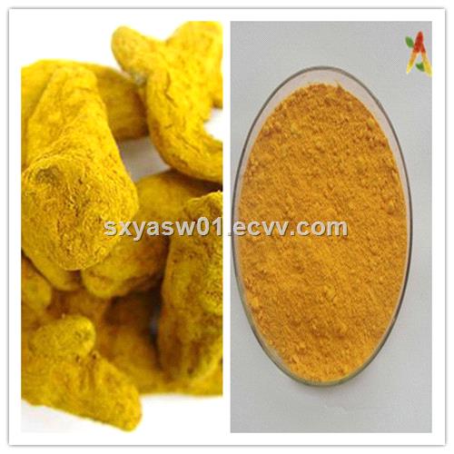 Water Soluble Natural CAS No 458377 Turmeric Extract 90 95 Curcumin