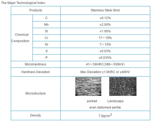 STAINLESS STEEL ROUNDCUT SHOT
