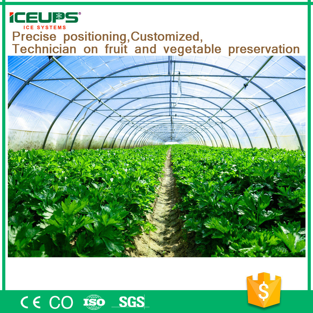 Vacuum Cooling Machine of Vegetables and Flowers Vacuum Cooling Machine of Vegetables and Flowers