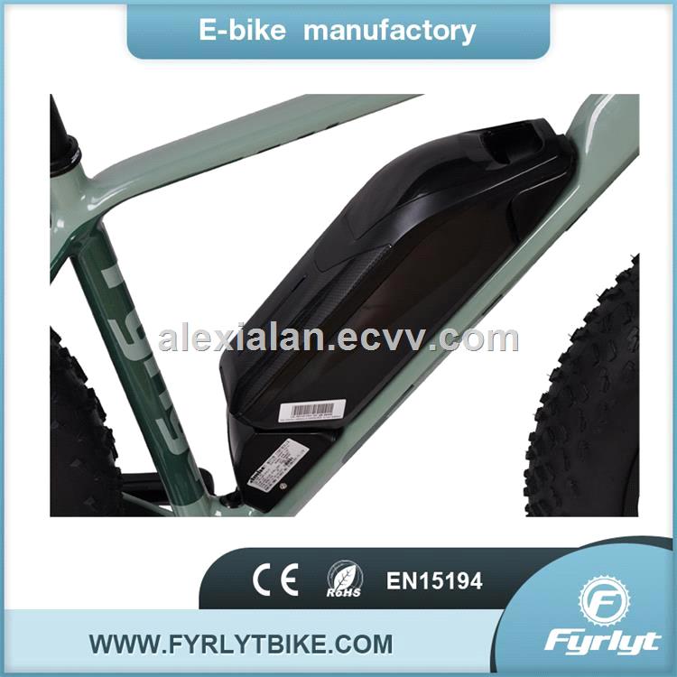bafang rear motor 350W fat tire electric bike use in sand snow field bafang rear motor 350W fat tire electric bike use in sand snow field