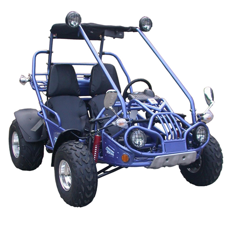 Offroad Adult 2 Seat Racing 150cc Dune Buggy for Sale