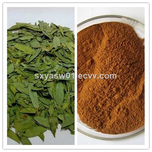 Manufacturer Supply Sennoside Natural laxative effect Senna Leaf Extract