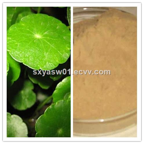 Natural Gotu Kola Extract 90 Madecassoside CAS No 84696219