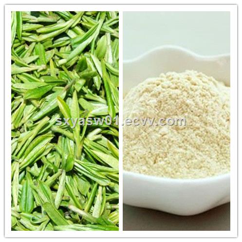 Natural Theaflavins eliminate fatty liver Black Tea Extract