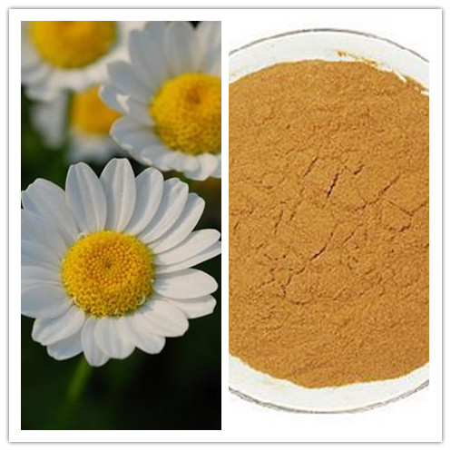 Natural Parthenolide antitumor 03 Feverfew Extract