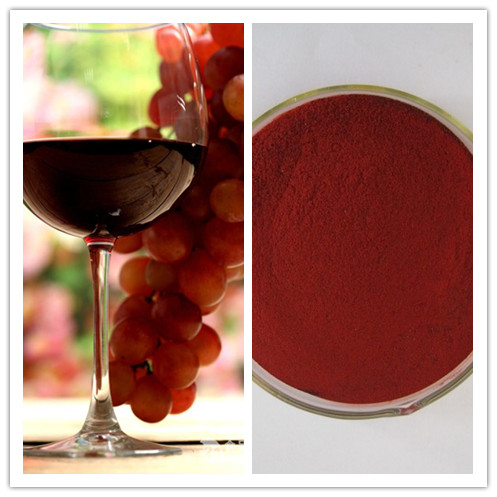 Natural prevent skin aging 30 Polyphenol Red Wine Extract