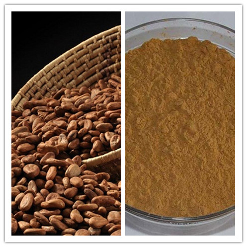 Natural Theobromine skin care Cocoa Extract