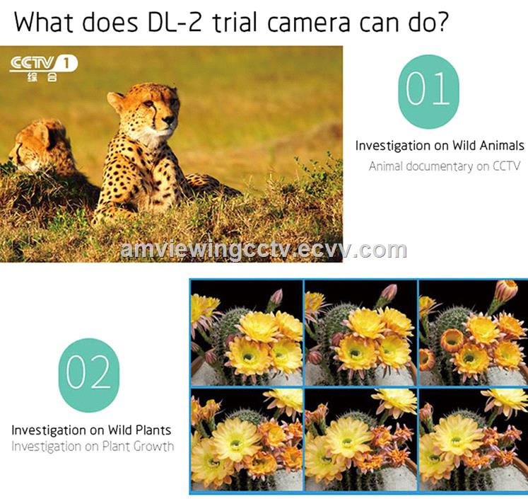 1080P HD 120 Degrees Detection Angle Outdoor Digital Hunting Trail Camera Wildlife Cameras