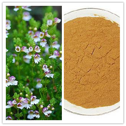 Natural Improve Eyesight 4 1 10 1 Eyebright Extract
