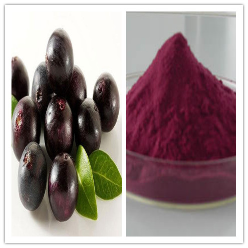 Natural Strong Antioxidant 4 1 10 1 Acai Berry Extract