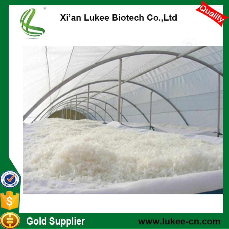 Manufacturer Supply Industrial Grade Chitosan Used for Water Treatment