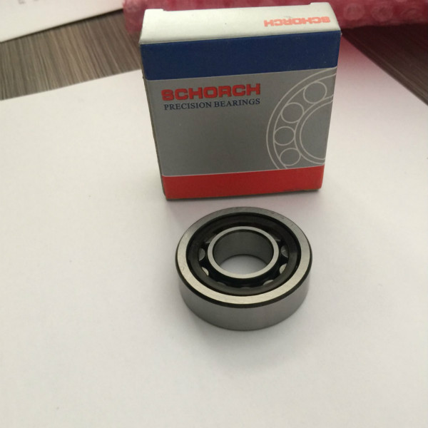 NJ203TN Bearing Nylon Cage NJ203ECP Cylindrical Roller Bearings