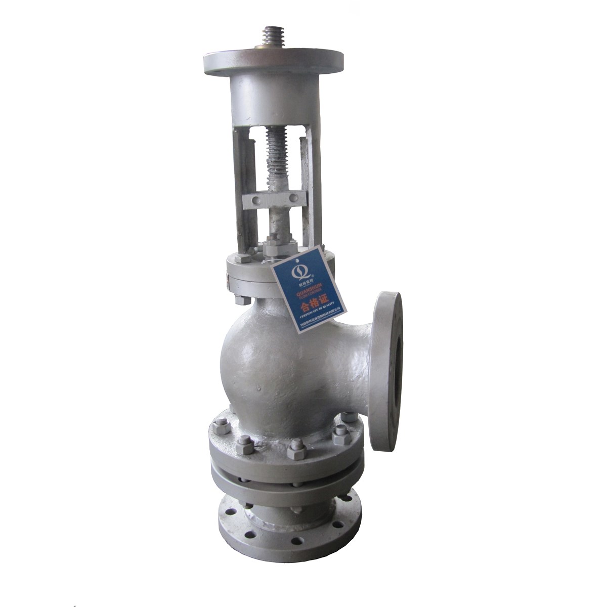 Steam isolation valve фото 10