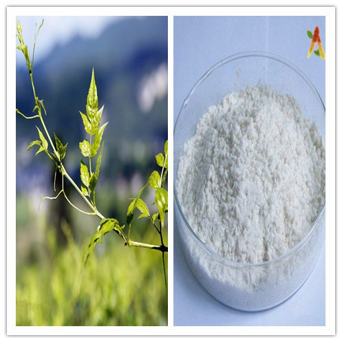 Natural Free Sample Dihydromyricetin Ampelopsin Vine Tea Extract