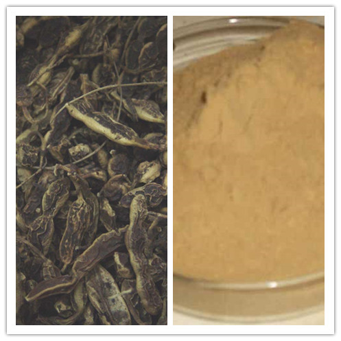 Natural CAS No 529599 Dyewoods glucoside 98 Genistin