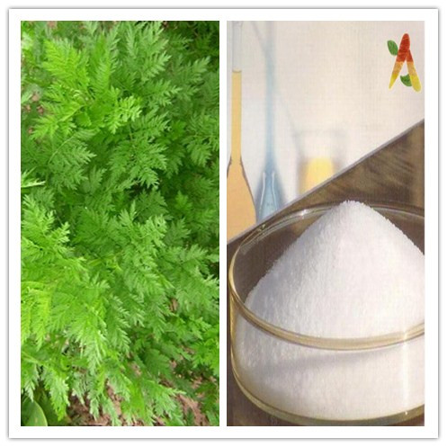 Natural Sweet Wormwood Extract 99 Artemisinin