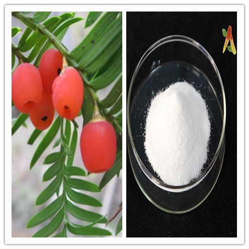 Natural Paclitaxel taxol Taxus brevifolia extract CAS No 33069624