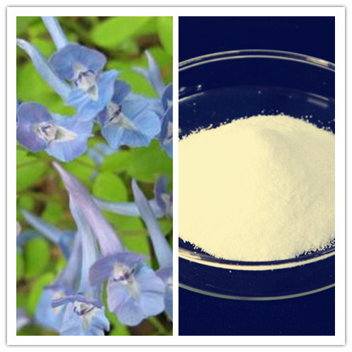 High Quality Rotundine Natural 95 98 Tetrahydropalmatine