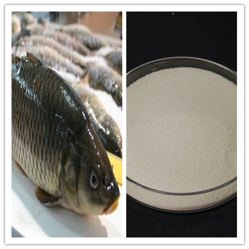 High Quality FoodCosmetic Grade 90 95 Collagen