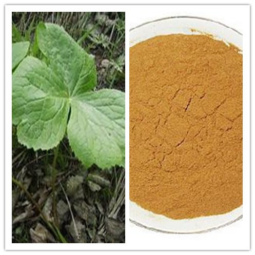 CAS No 4354761 Natural 50 Podophyllum Resin