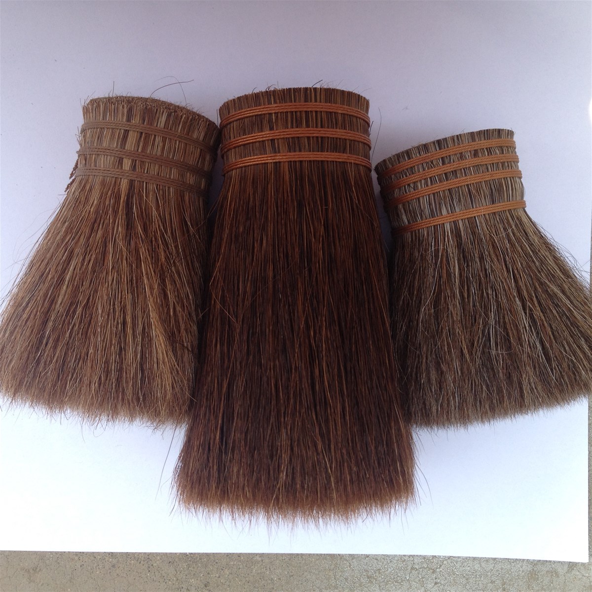 horse root tail Hair and horse tail