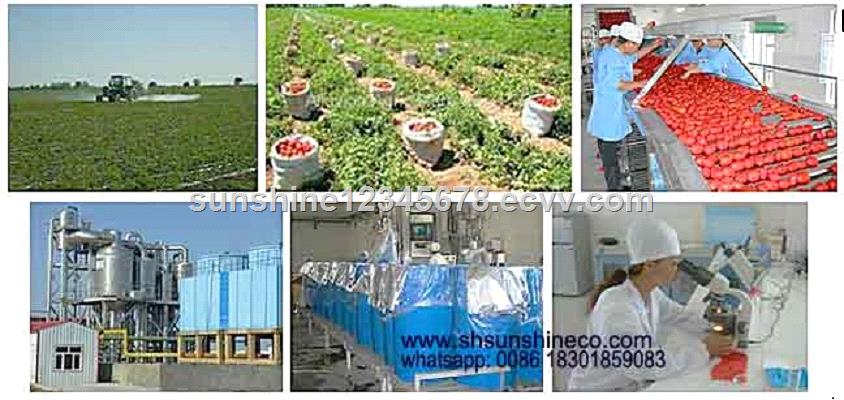 China professional supplier of tomato paste production linetomato sauce making machinetomato processing
