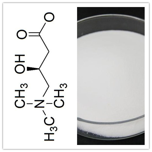 High purity CAS No 541151 lose weight 99 Lcarnitine