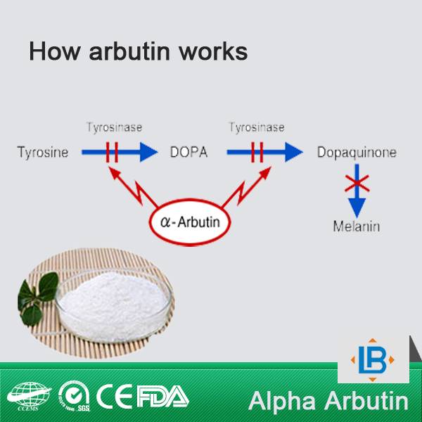 Alpha arbutin 160kg fob shanghai