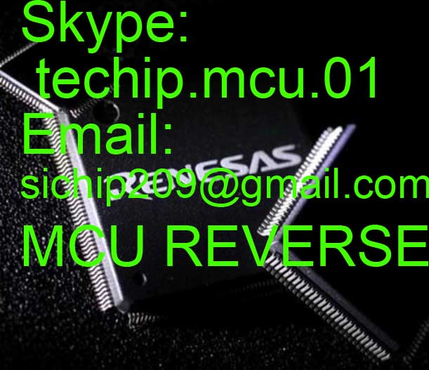 Break protect of chip LPC2131 chip decyption