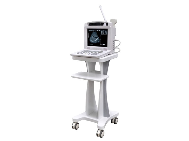 Portable Ultrasound Machine and Ultrasound Scanner and Device