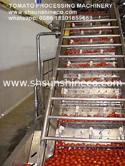 China professional supplier of tomato paste production linetomato sauce making machinetomato processing
