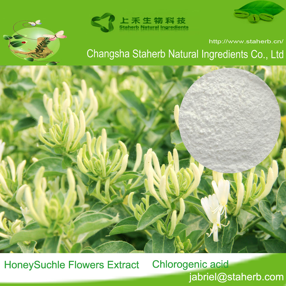 Chlorogenic acidEucommia Leaf ExtractHoneysuckle extract