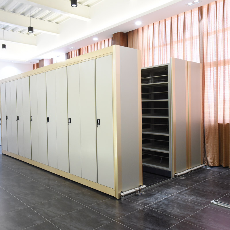 Luoyang Factory Ofiice File Strorage Rack for sale