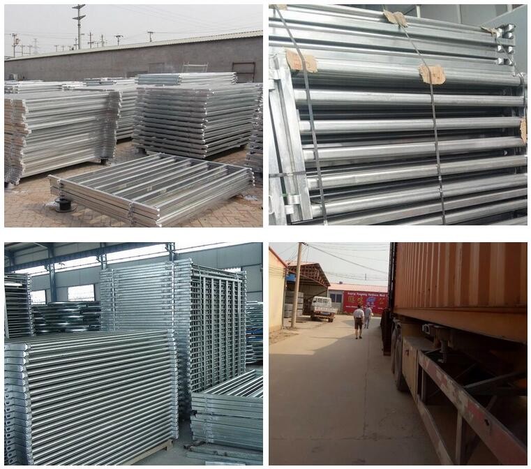 hot dipped galvanized hinge joint knotted cheap cattle sheep horse fence