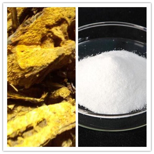 Natural Polygonum Cuspidatum Extract 98 Transresveratrol