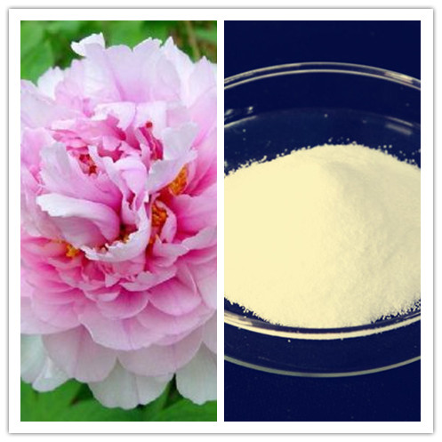 Natural Peony Extract 99 Paeonol CAS No 552410