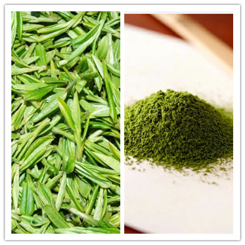 Shade Grown Steamed Green Tencha Green Tea Powder Matcha