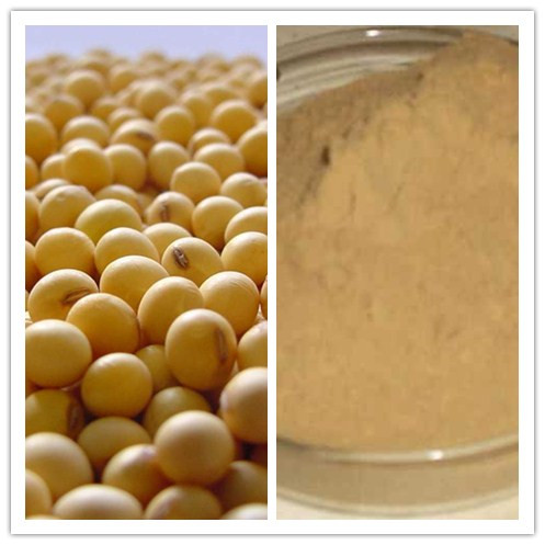 Natural CAS No 133876923 Natto Extract 20000fu Nattokinase