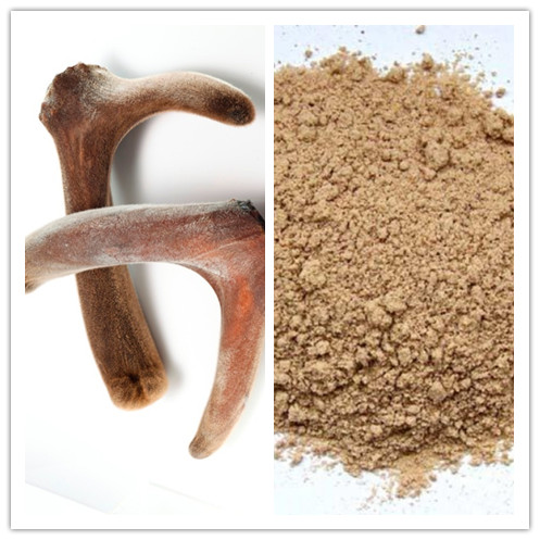 Natural High Quality Deer Antler Powder