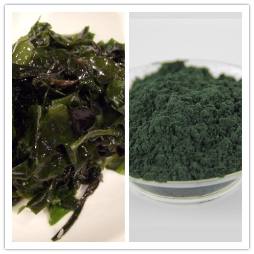 Natural High Quality Spirulina Powder