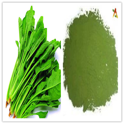 Natural 100 Water Soluble Delay Aging Spinach Juice Powder